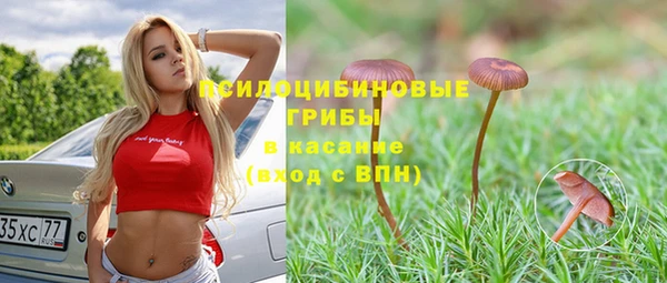 бутират Алзамай