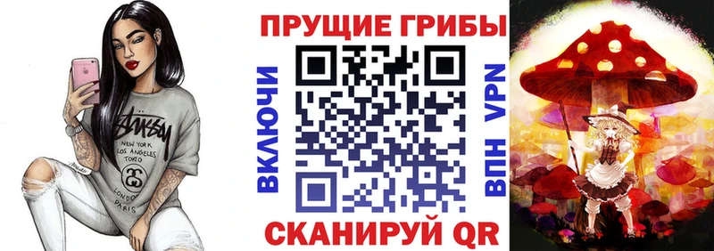 где найти наркотики  нарко площадка наркотические препараты  Галлюциногенные грибы Cubensis  Кадников 